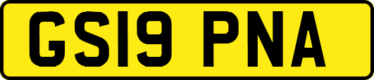 GS19PNA