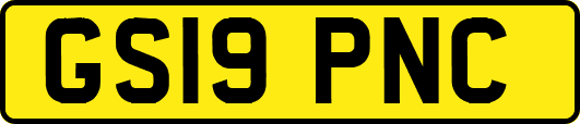 GS19PNC