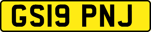 GS19PNJ