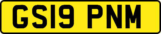 GS19PNM
