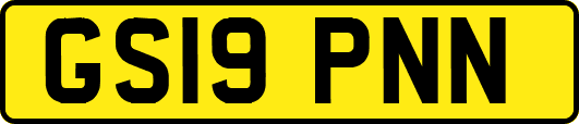 GS19PNN