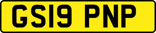 GS19PNP