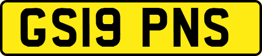 GS19PNS