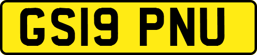 GS19PNU