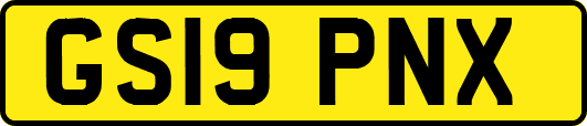 GS19PNX