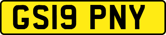GS19PNY