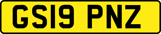 GS19PNZ