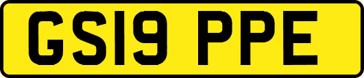 GS19PPE