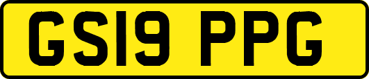 GS19PPG