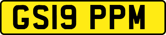 GS19PPM