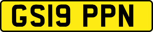 GS19PPN