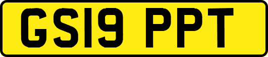 GS19PPT