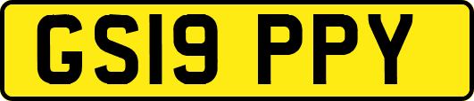 GS19PPY