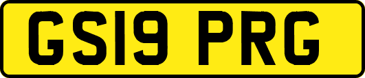 GS19PRG