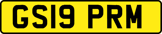 GS19PRM