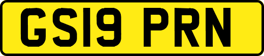 GS19PRN