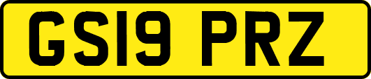 GS19PRZ