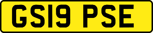GS19PSE