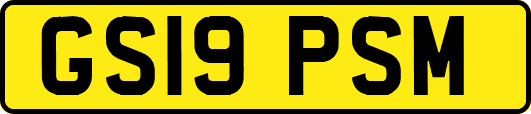GS19PSM