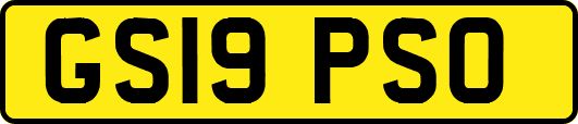 GS19PSO