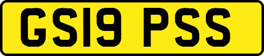 GS19PSS