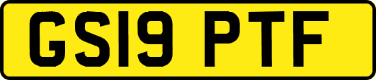 GS19PTF