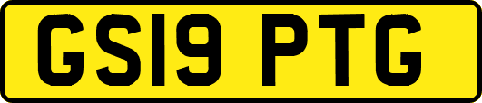GS19PTG