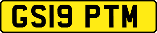 GS19PTM