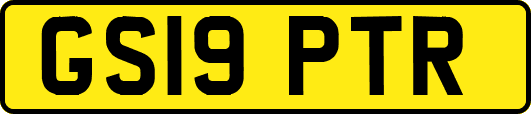 GS19PTR