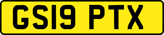 GS19PTX