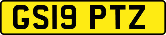 GS19PTZ