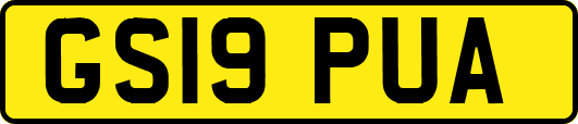 GS19PUA
