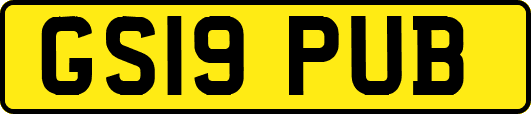 GS19PUB