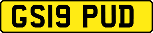 GS19PUD