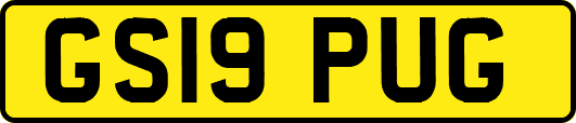 GS19PUG