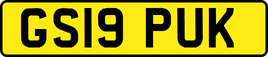 GS19PUK