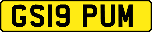 GS19PUM
