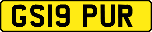 GS19PUR