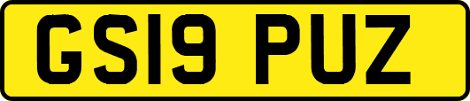 GS19PUZ