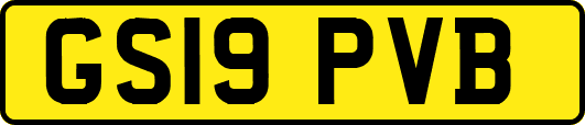 GS19PVB
