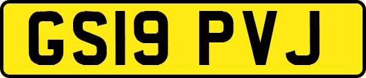 GS19PVJ