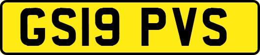 GS19PVS