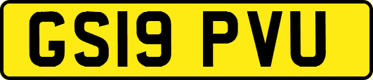 GS19PVU