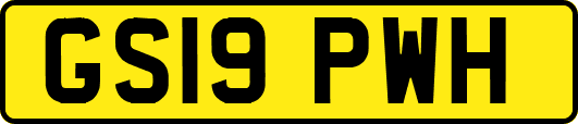 GS19PWH