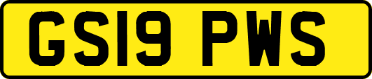 GS19PWS