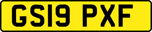 GS19PXF