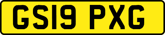 GS19PXG