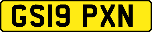 GS19PXN
