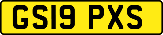 GS19PXS