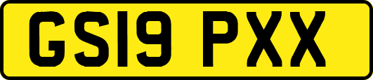 GS19PXX